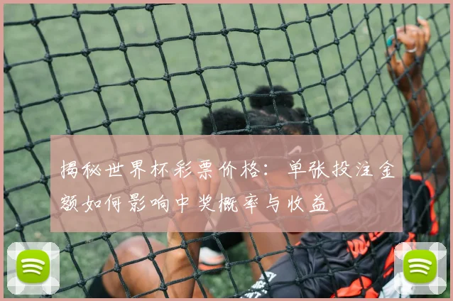 揭秘世界杯彩票价格：单张投注金额如何影响中奖概率与收益