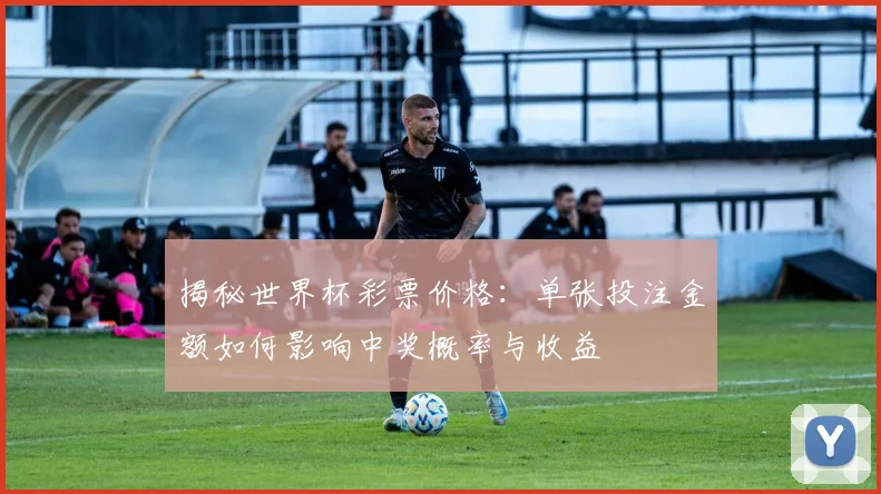 揭秘世界杯彩票价格：单张投注金额如何影响中奖概率与收益